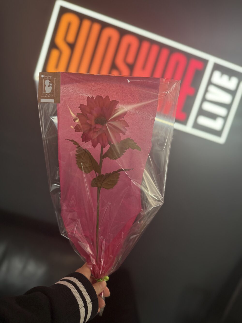 Seidenblume "SUNSHINE LIVE"